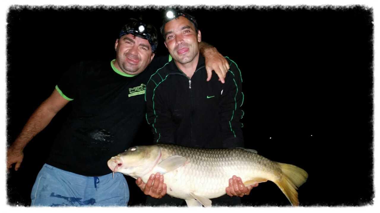 catch & release - 1409917415647.jpg